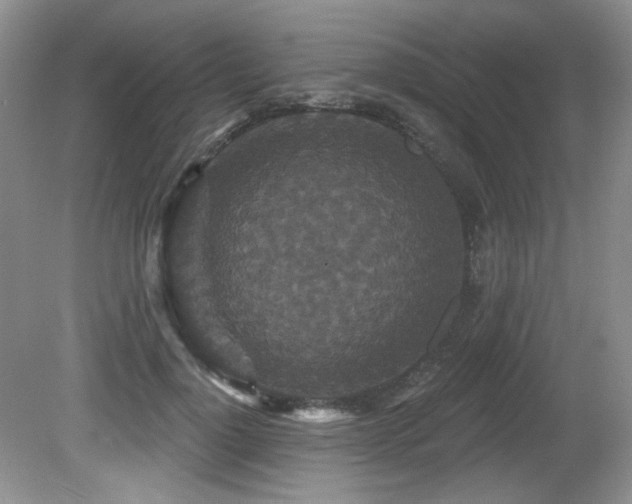 X0000081620748200701151431
