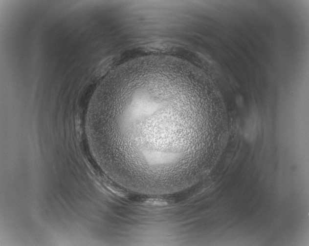 X0000081620749200701151431