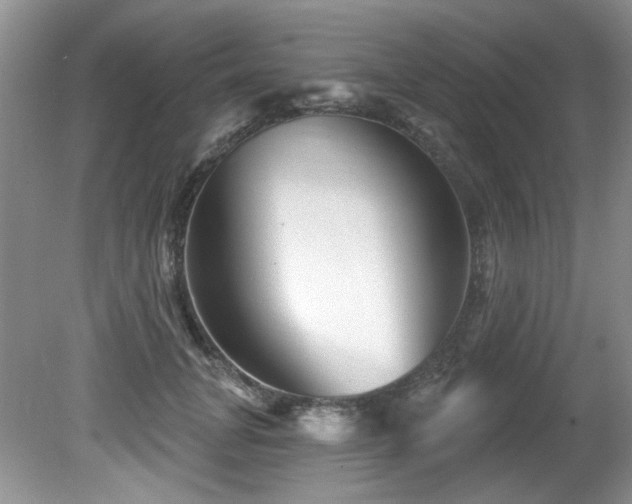 X0000081620751200701151431