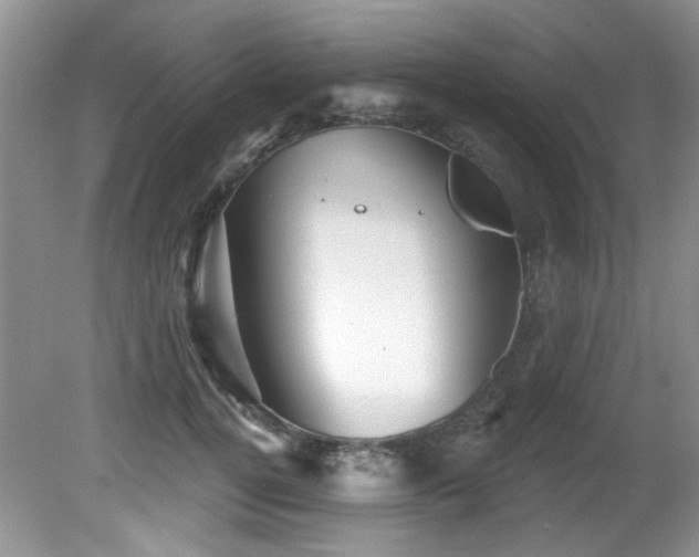 X0000081620752200701151431
