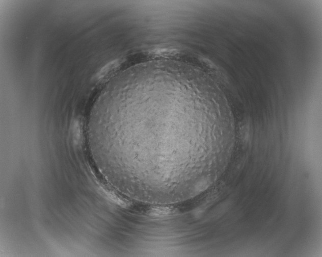 X0000081620757200701151431