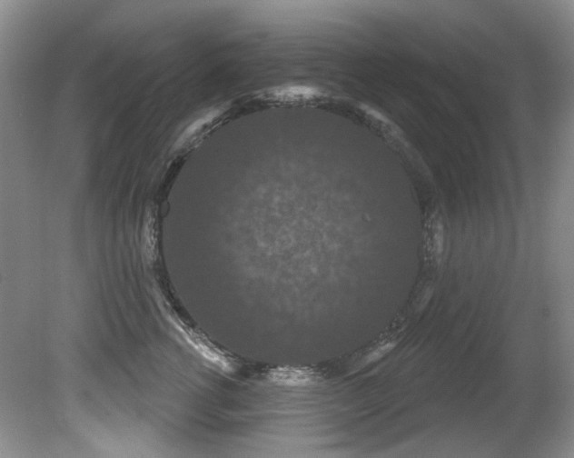 X0000081620762200701151431