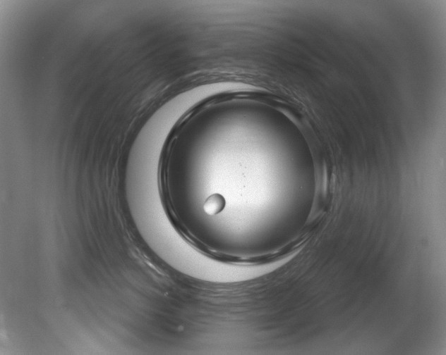 X0000081620766200701151431
