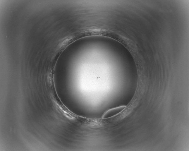 X0000081620768200701151431