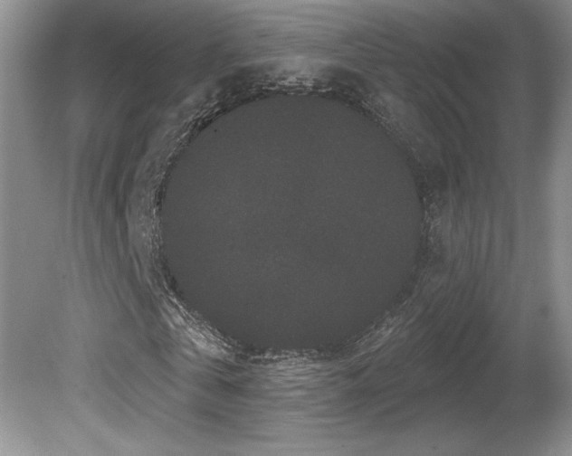 X0000081620769200701151430
