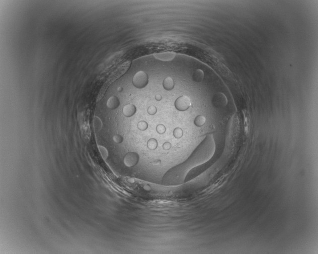 X0000081620771200701151430