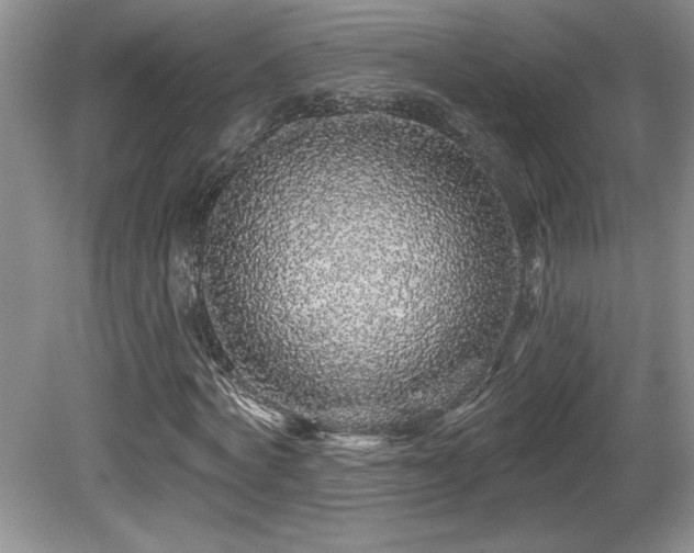X0000081620772200701151430