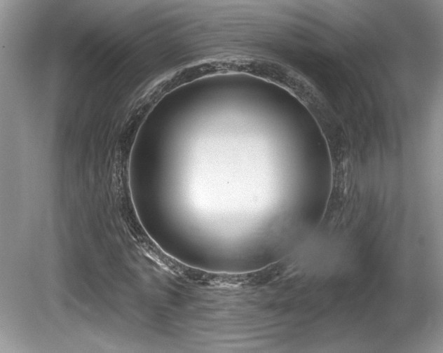 X0000081620773200701151430