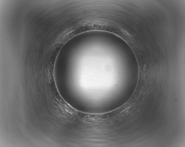 X0000081620774200701151430