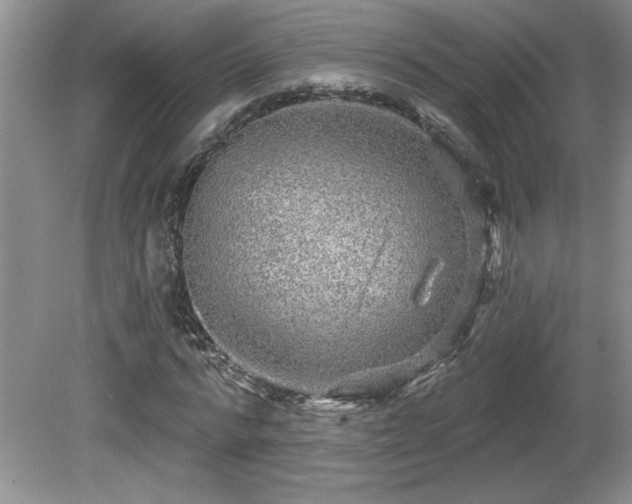 X0000081620776200701151430