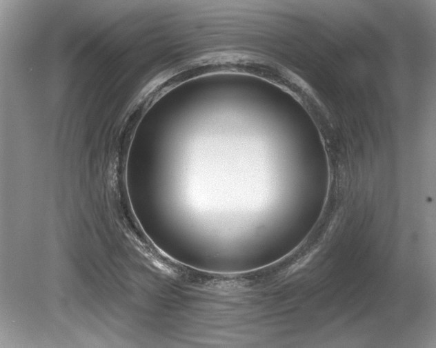 X0000081620778200701151430