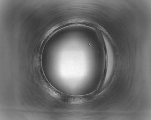 X0000081620786200701151430
