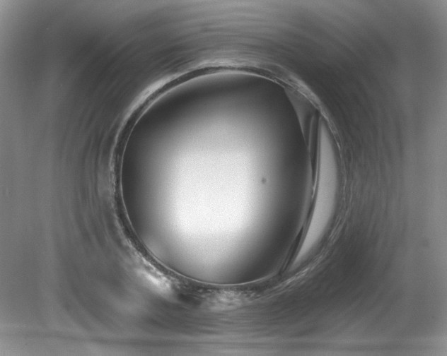 X0000081620787200701151430