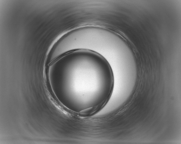 X0000081620788200701151430