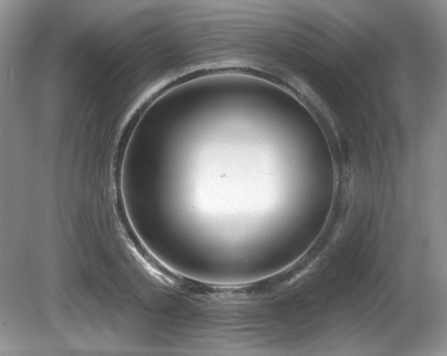 X0000081620789200701151430