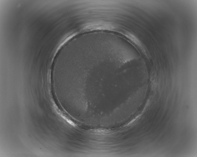 X0000081620790200701151430