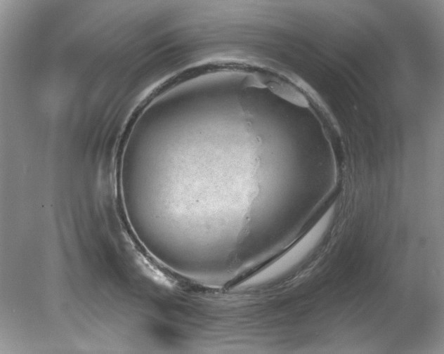 X0000081620791200701151430