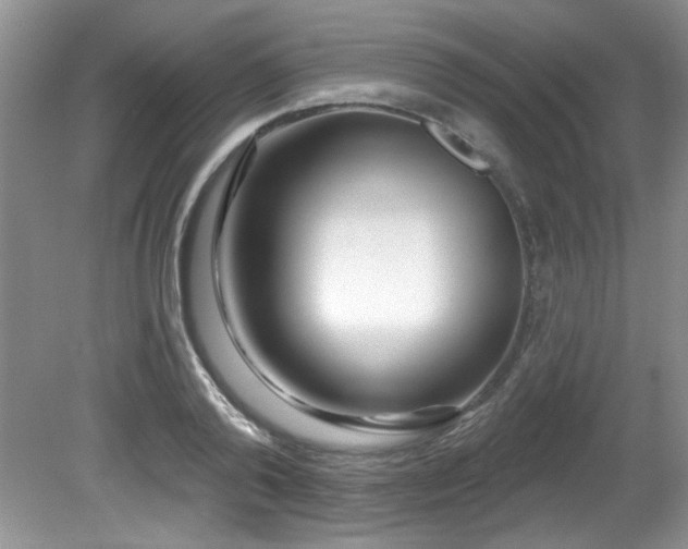 X0000081620792200701151430
