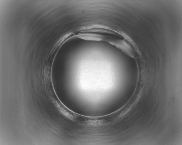 X0000081620793200701151430