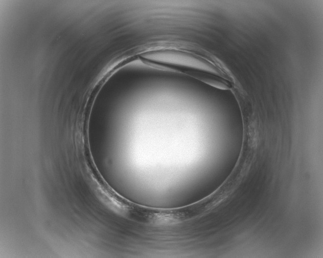 X0000081620794200701151430