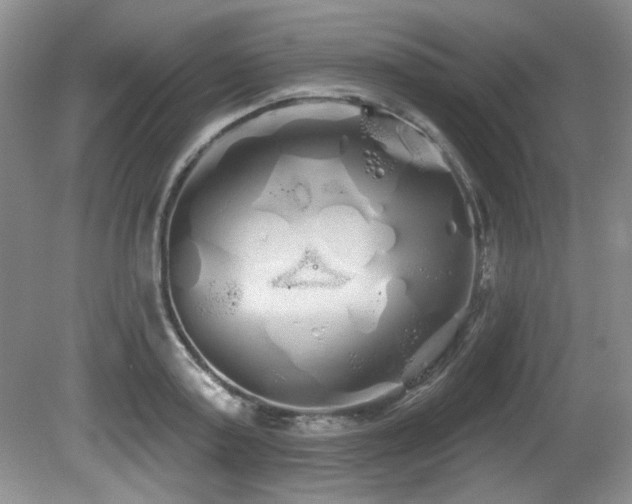 X0000081620795200701151430