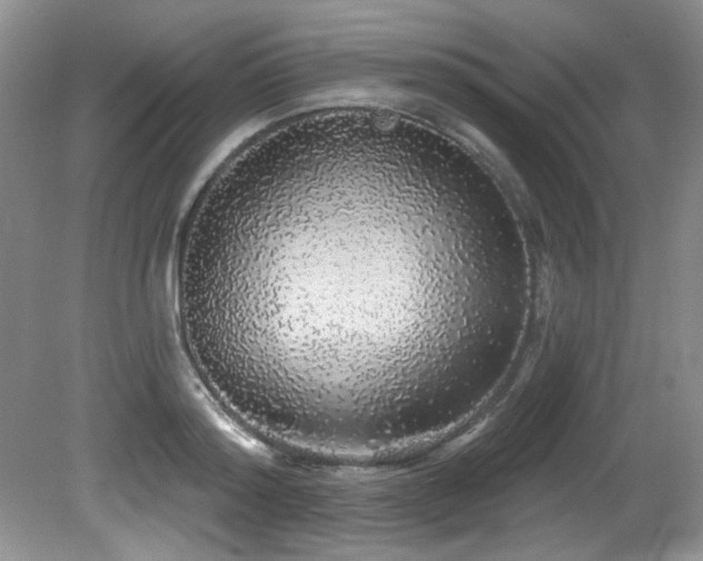 X0000081620796200701151430