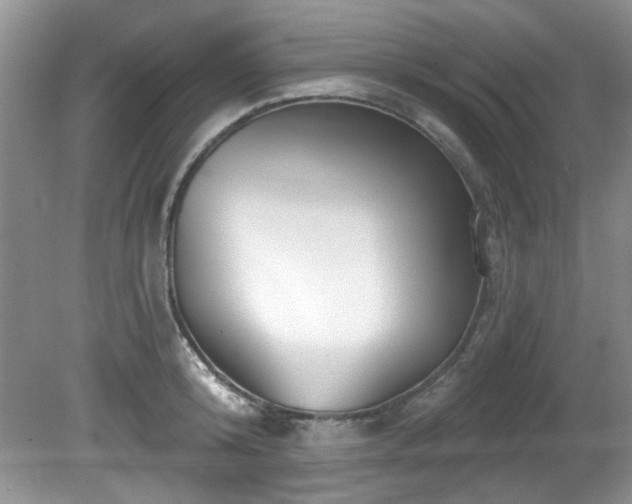 X0000081620800200701151430