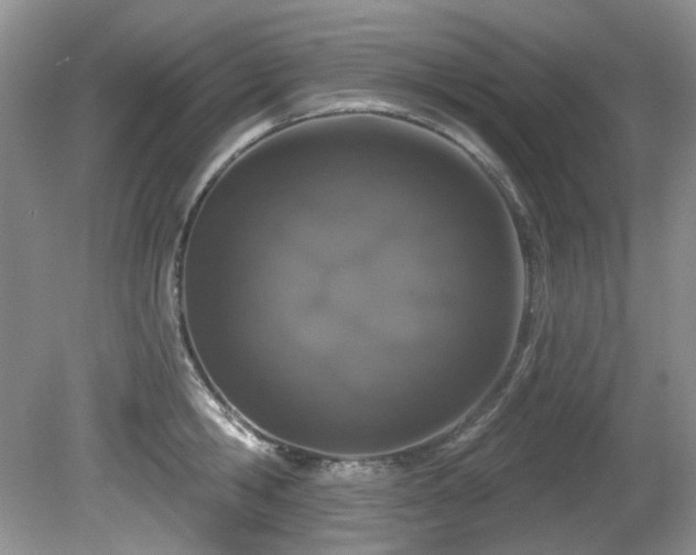 X0000081620806200701151430