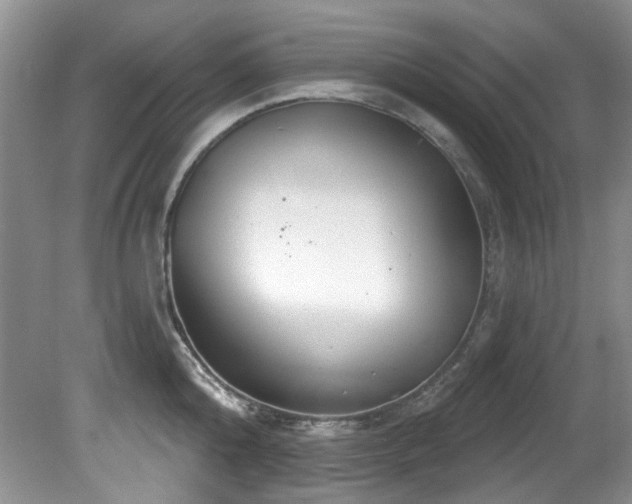 X0000081620808200701151430