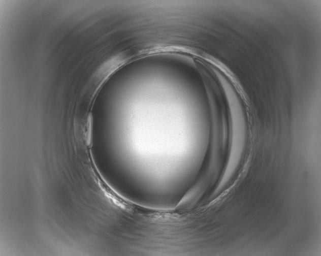 X0000081620809200701151430