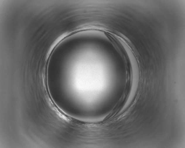 X0000081620812200701151430