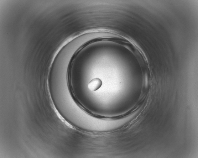X0000081620813200701151430