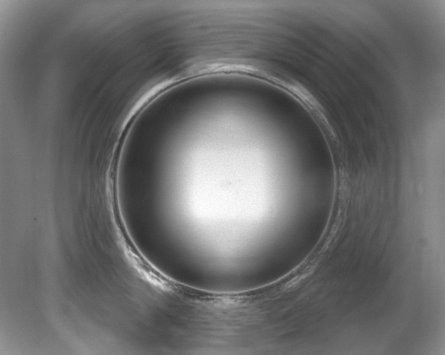 X0000081620814200701151430