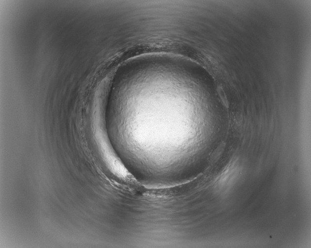 X0000081620817200701151429