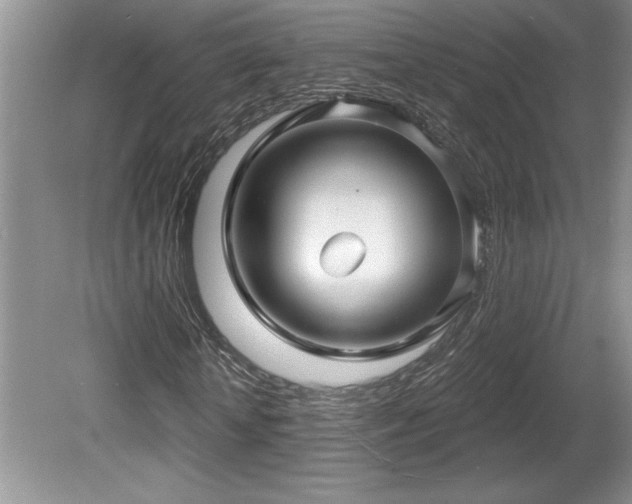 X0000081620818200701151429