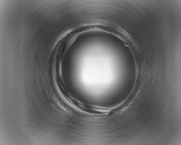 X0000081620826200701151429