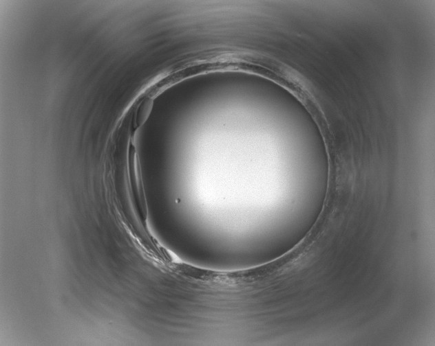 X0000081620827200701151429
