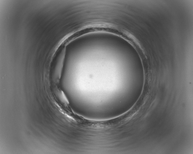 X0000081620829200701151429