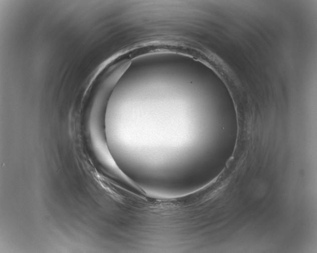 X0000081620830200701151429