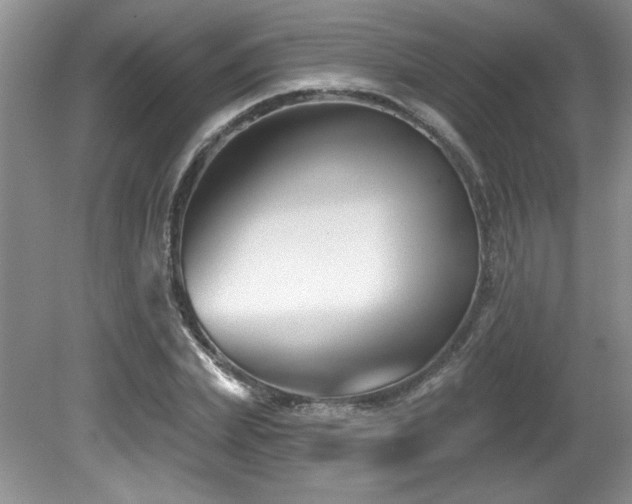 X0000081620831200701151429