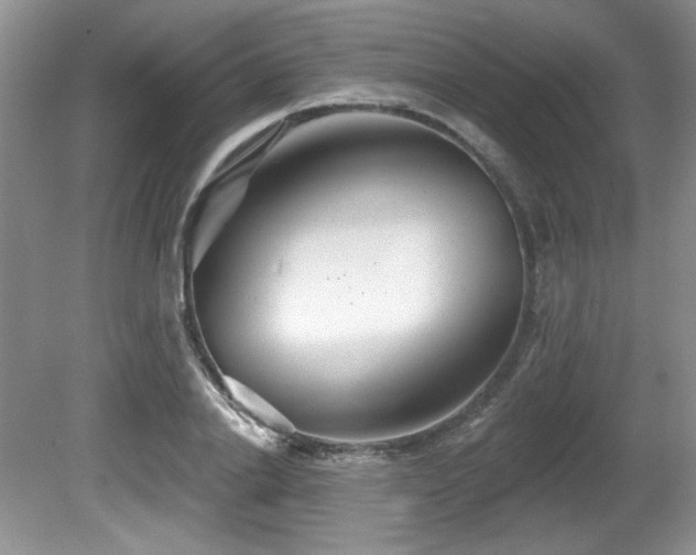 X0000081620838200701151429