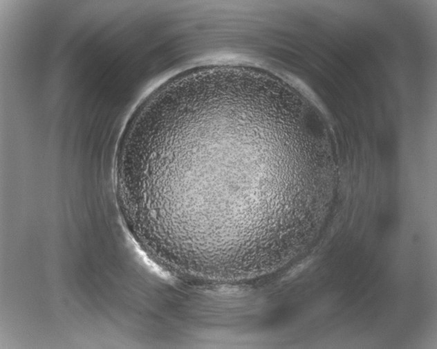 X0000081620839200701151429