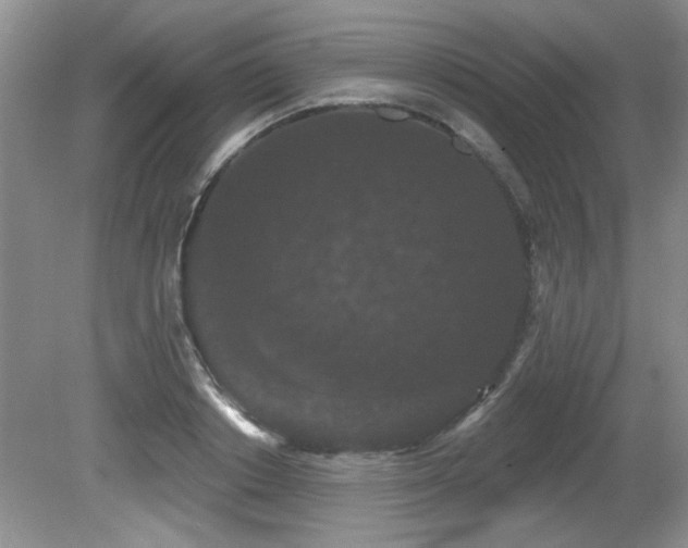 X0000081620842200701151429