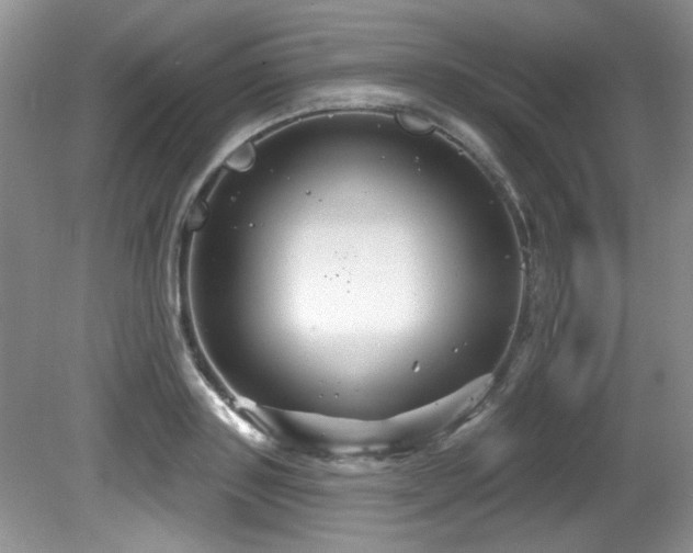 X0000081620843200701151429