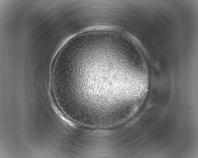 X0000081620844200701151429
