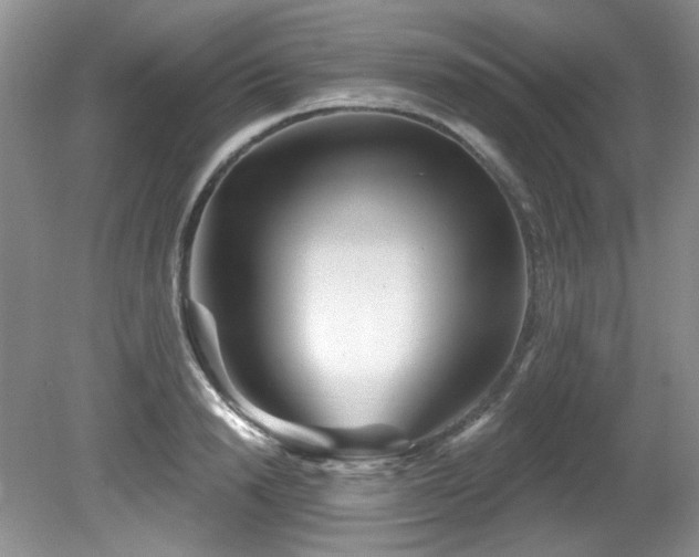 X0000081620846200701151429