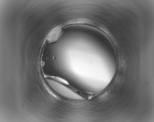 X0000081620850200701151429