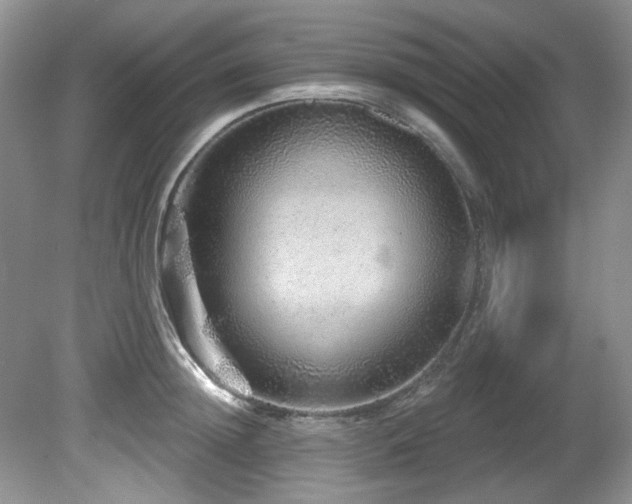 X0000081620852200701151429