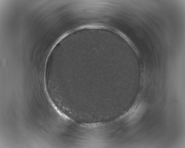 X0000081620853200701151429