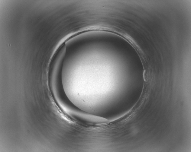 X0000081620854200701151429